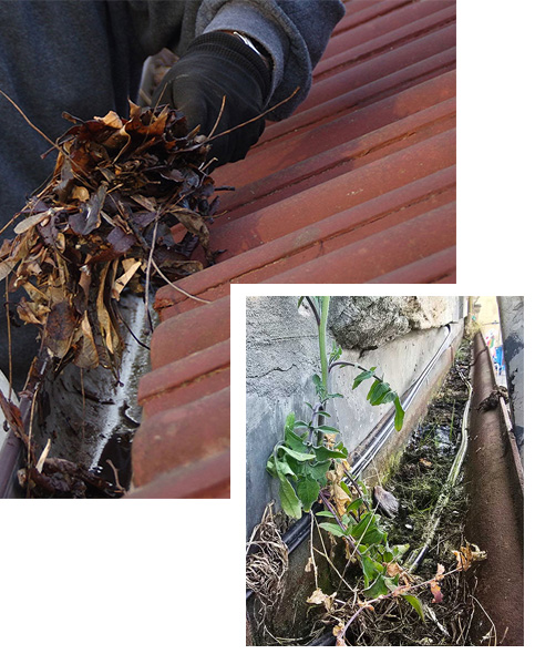 Guttering-Company Guttering-Company